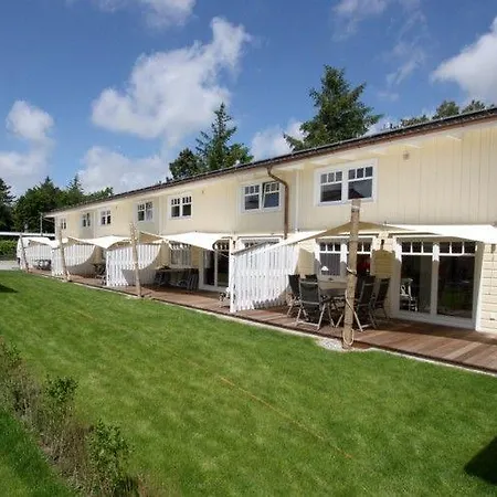 Haus-seehund-nr-15-sfw-15 *